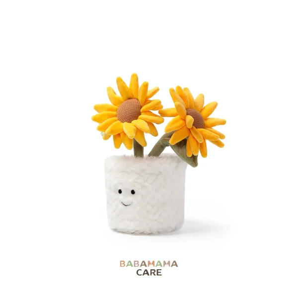 babamama care sp x mchugs (73) McHugs Sunshine Sunflower Bonsai