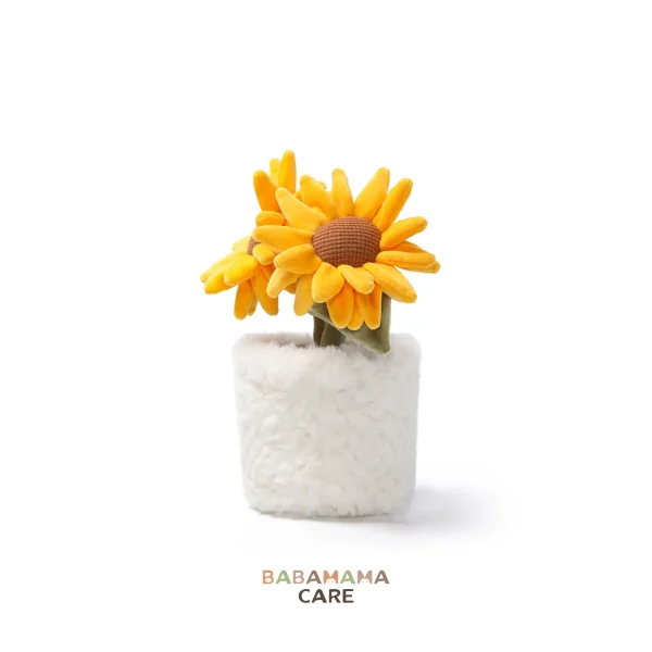 babamama care sp x mchugs (74) McHugs Sunshine Sunflower Bonsai