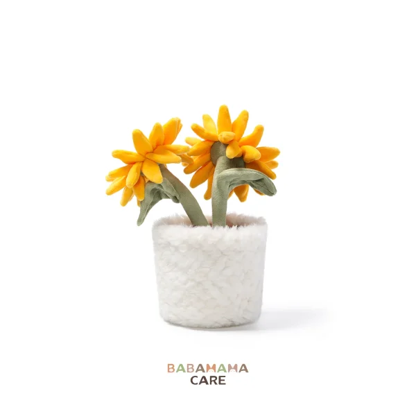 babamama care sp x mchugs (75) McHugs Sunshine Sunflower Bonsai